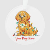 Personalized Golden Retriever Acrylic Ornament (voorkant)