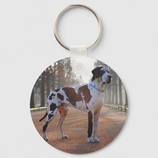 Personalized Great Dane – Minimalist  Sleutelhanger (Voorkant)