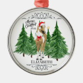 Personalized Horse Christmas Ornament Keepsake (Voorkant)