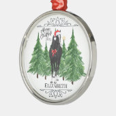 Personalized Horse Christmas Ornament Keepsake (Links)