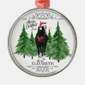 Personalized Horse Christmas Ornament Keepsake (Voorkant)