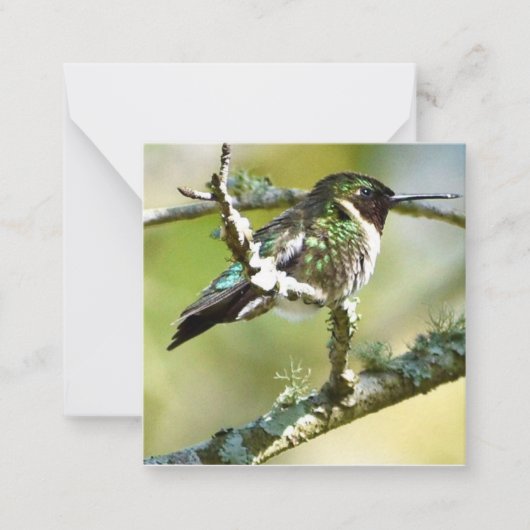 Personalized Hummingbird mini notecards Notitiekaartje (Voorkant)