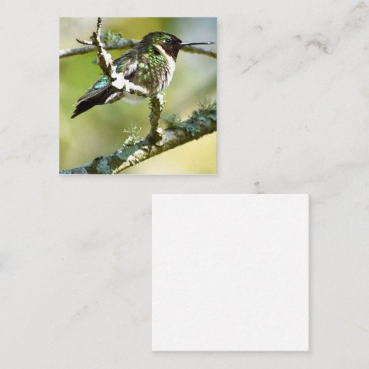 Personalized Hummingbird mini notecards Notitiekaartje (Voorkant / Achterkant)