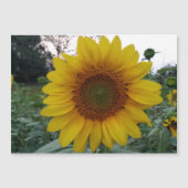 Personalized Image Magnetic Business Display Card (Voorkant)