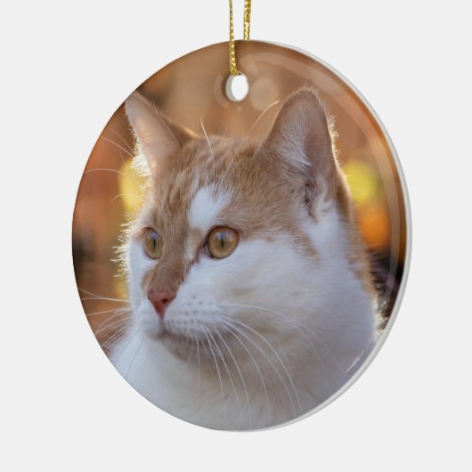 Personalized Kitty Cat Photo Keramisch Ornament (Links)