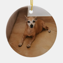 Personalized Name And Photo Pet Memorial Keramisch Ornament