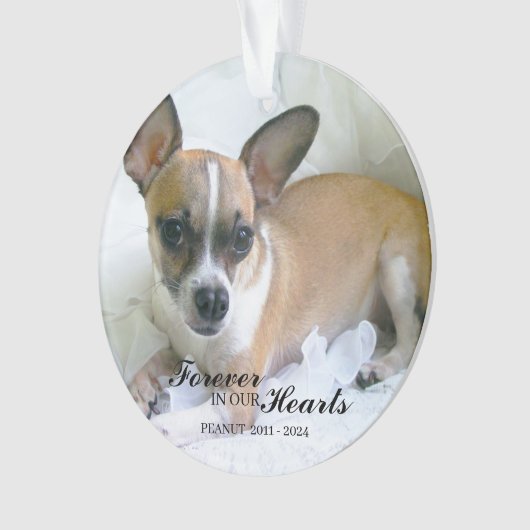 Personalized Pet Christmas Ornament (voorkant)