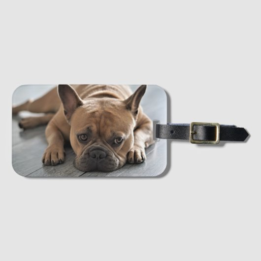 Personalized Pet Dog Photo Bagagelabel (Voorkant (horizontaal))