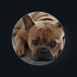 Personalized Pet Dog Photo Ronde Button 5,7 Cm<br><div class="desc">Personalized Pet Dog Photo Luggage Tag</div>