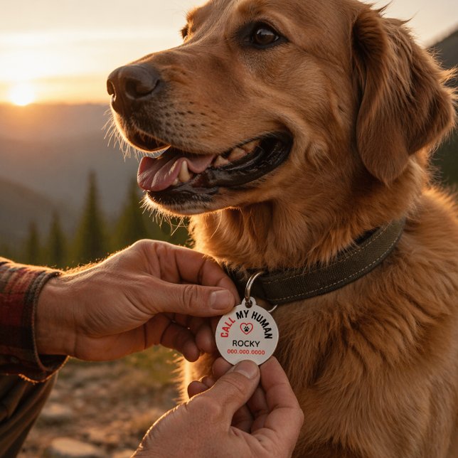 Personalized Pet ID Tag with Phone Number Huisdierpenning (Personalized Pet Dog Id to help when your dog is lost. Includes name and contact number. )