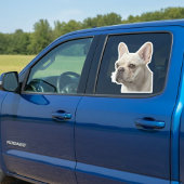 Personalized Pet Photo Car Window Sticker