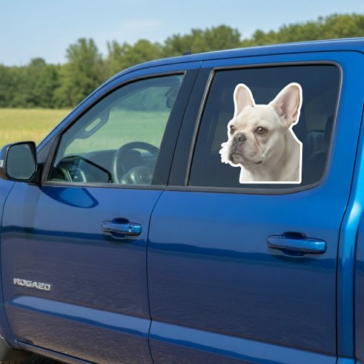 Personalized Pet Photo Car Window Sticker