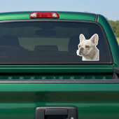 Personalized Pet Photo Car Window Sticker
