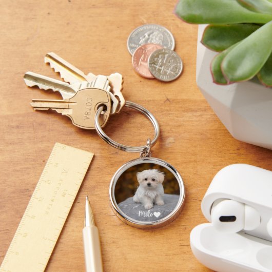 Personalized Pet Photo Keychain with Name (Bureau)
