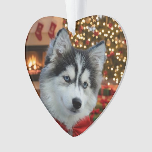 Personalized Pet Photo "Love" Gold Glitter Ornament (voorkant)