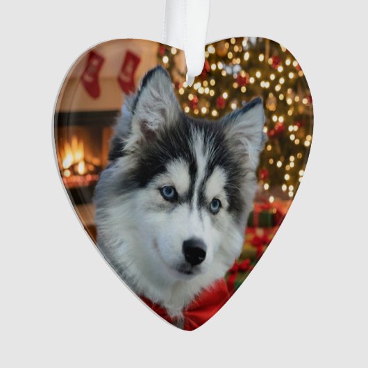 Personalized Pet Photo "Love" Gold Glitter Ornament (voorkant)