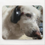 Personalized Pet Photo  Muismat<br><div class="desc">This unique mouse pad can be personalized with your pet's photo ,  making it the perfect accessory for any pet lover who wants to keep their furry friend close while working ,  studying or gaming.</div>