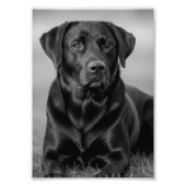 Personalized pet photo poster, pet memorial gift foto afdruk (Voorkant)