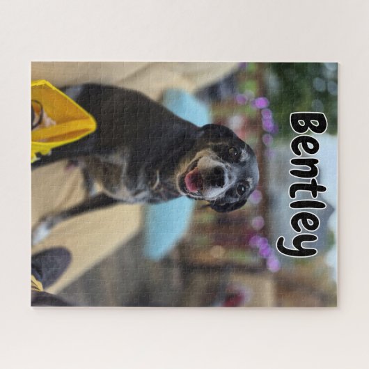 Personalized Pet Photos Template Legpuzzel (Horizontaal)