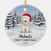 Personalized Polar Bear Baby Christmas Ornament (Voorkant)