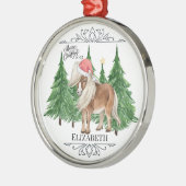 Personalized Pony Christmas Ornament Keepsake (Links)