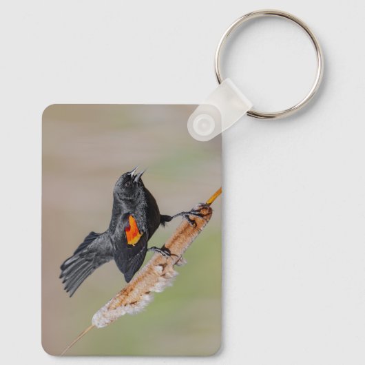 Personalized Red-Winged Blackbird Keychain (Achterkant)