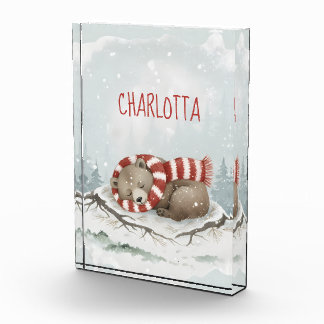 Personalized Sleeping Bear Photo Block, Custom Nam Fotoblokken