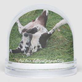 personalized snow globe featuring two of your own  sneeuwbol