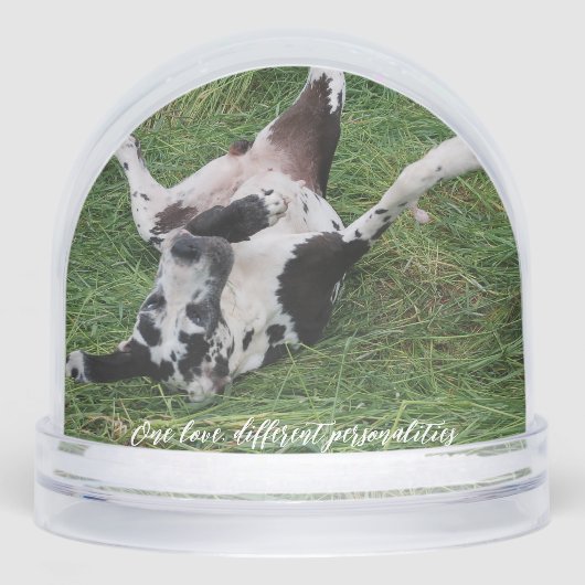 personalized snow globe featuring two of your own  sneeuwbol (Voorkant)