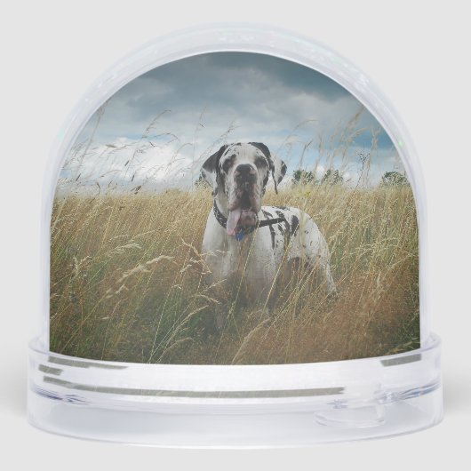 personalized snow globe featuring two of your own  sneeuwbol (Achterkant)
