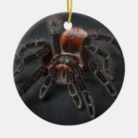 Personalized Tarantula Spider Christmas Keramisch Ornament (Voorkant)