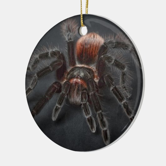 Personalized Tarantula Spider Christmas Keramisch Ornament (Links)