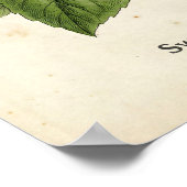 Personalized Vintage Basil Herb Botanical Kitchen  Poster (Hoek)