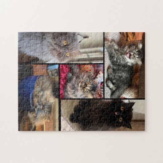Personalized Your 5 Photo Puzzle Persian Cat Legpuzzel (Horizontaal)