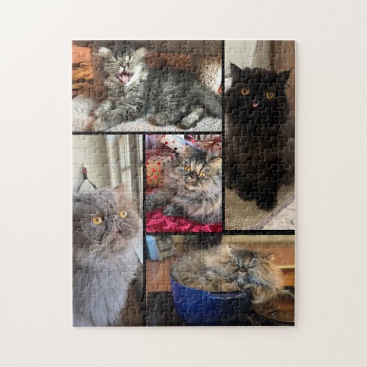 Personalized Your 5 Photo Puzzle Persian Cat Legpuzzel (Verticaal)