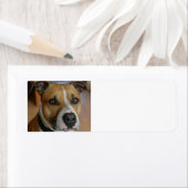 personeel.png etiket (Insitu)