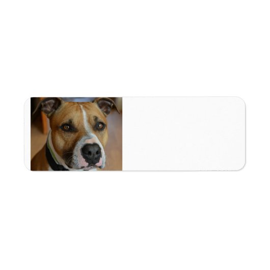 personeel.png etiket (Voorkant)