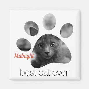 Personeelsfoto's afdrukken magneet