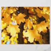 Personeelsvergadering brochures gele herfst laat K (Achterkant)