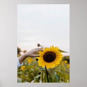 Persoon die zonnebloem houdt poster
