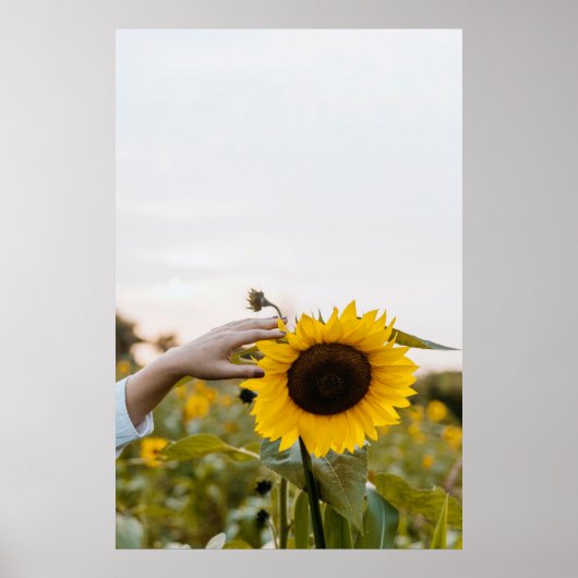 Persoon die zonnebloem houdt poster (Voorkant)