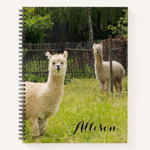 Persoonlijk alpaca-themanotitieboek notitieboek