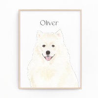 Persoonlijk Amerikaans Eskimo Samoyed Dog