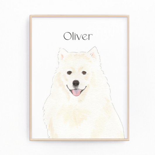 Persoonlijk Amerikaans Eskimo Samoyed Dog Foto Afdruk
