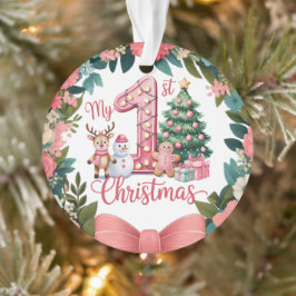 Persoonlijk baby-eerste vakantie-aandenken ornament