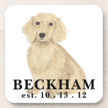 Persoonlijk Cream Dachshund met lange adem