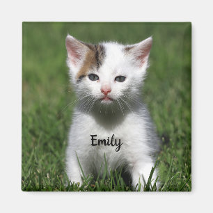 Persoonlijk Cute White Kitten Magneet