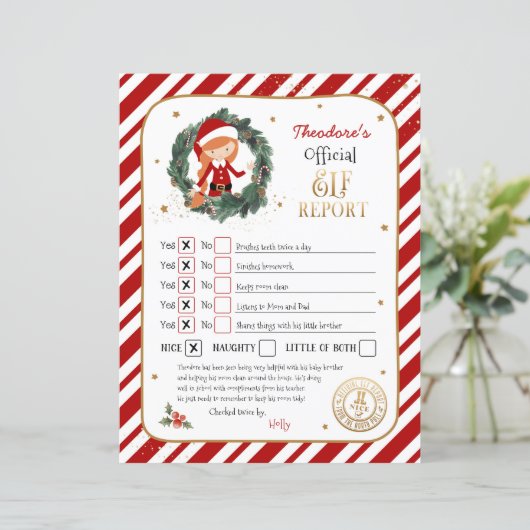 Persoonlijk Elf Rapportcijfer (Staand voorkant)