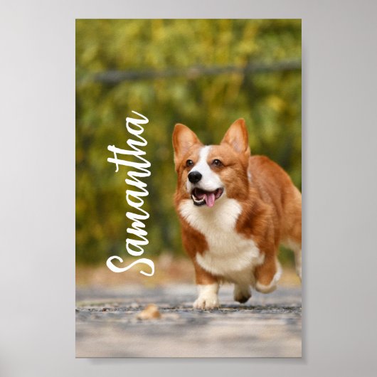 Persoonlijk fotoMonogram telefoonmodepapier Poster (Voorkant)