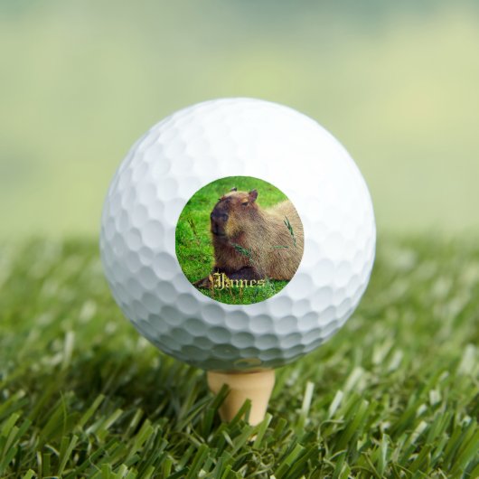 Persoonlijk Fun Capybara Animal Golfballen (Insitu Shirt)